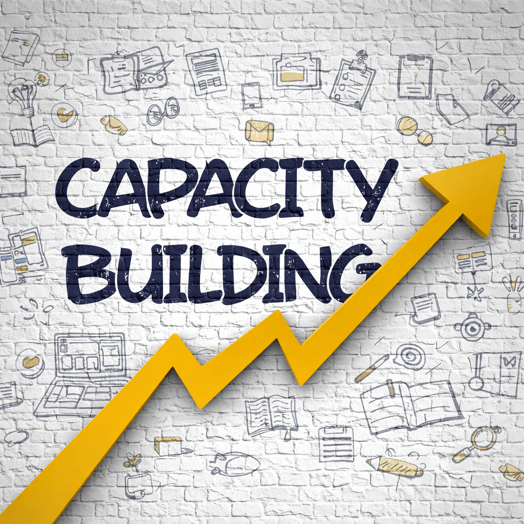 Training & Media Capacity Building
